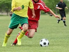 莱万特坚定,守护埃永,屡遭高价诱,大发彩票会员登录入口,dafa大发彩票官网,大发彩票dafa